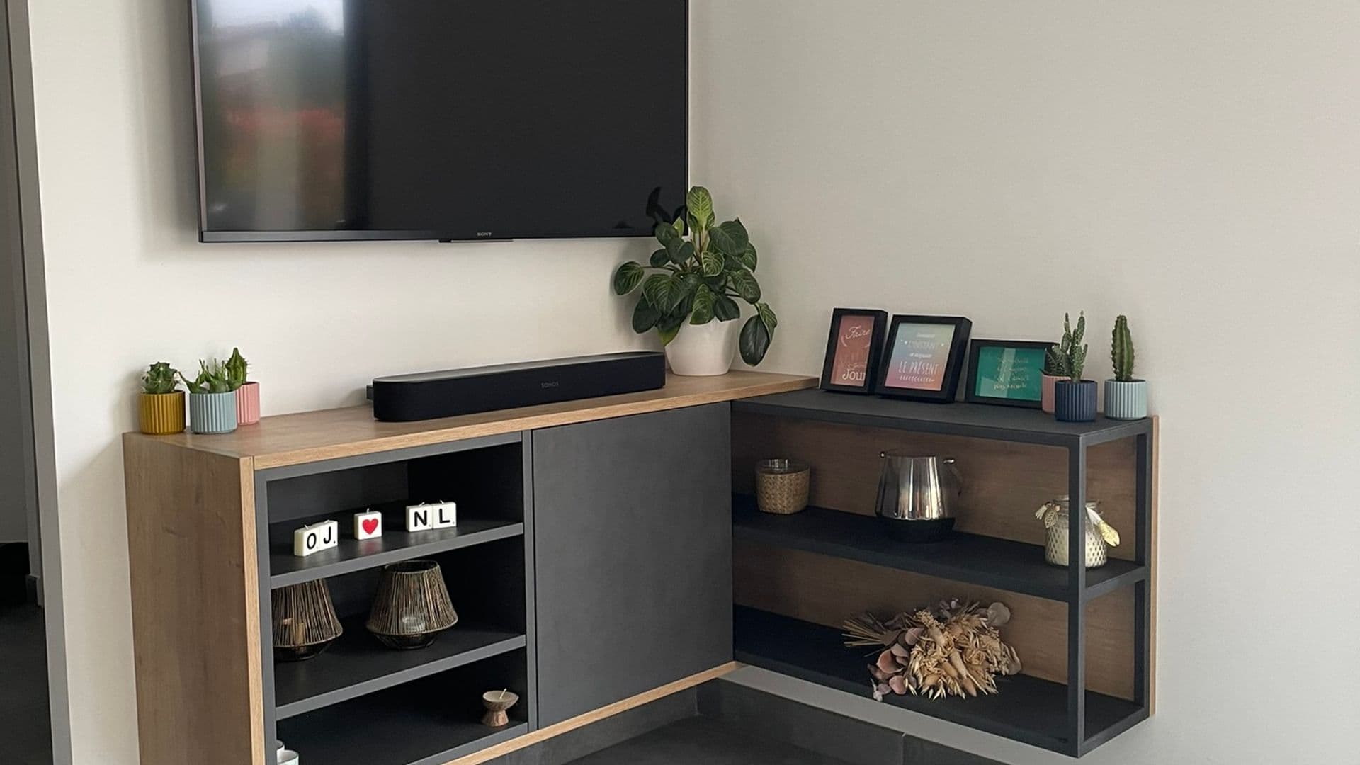 Module TV — photo 1